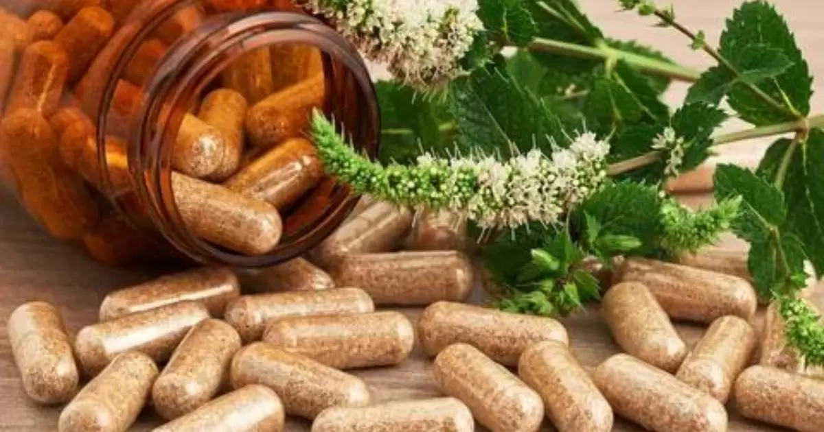 Herbal Anti-Inflammatory Supplements To Work