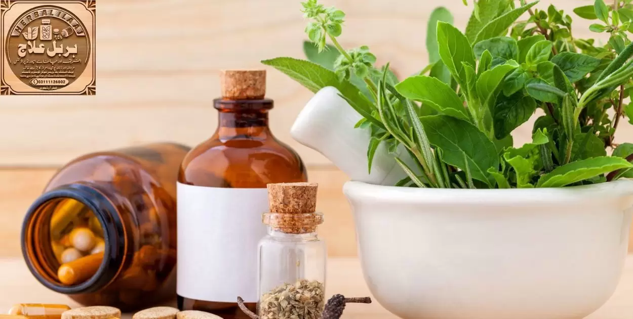 Boosting Weight Gain with Herbal Remedies