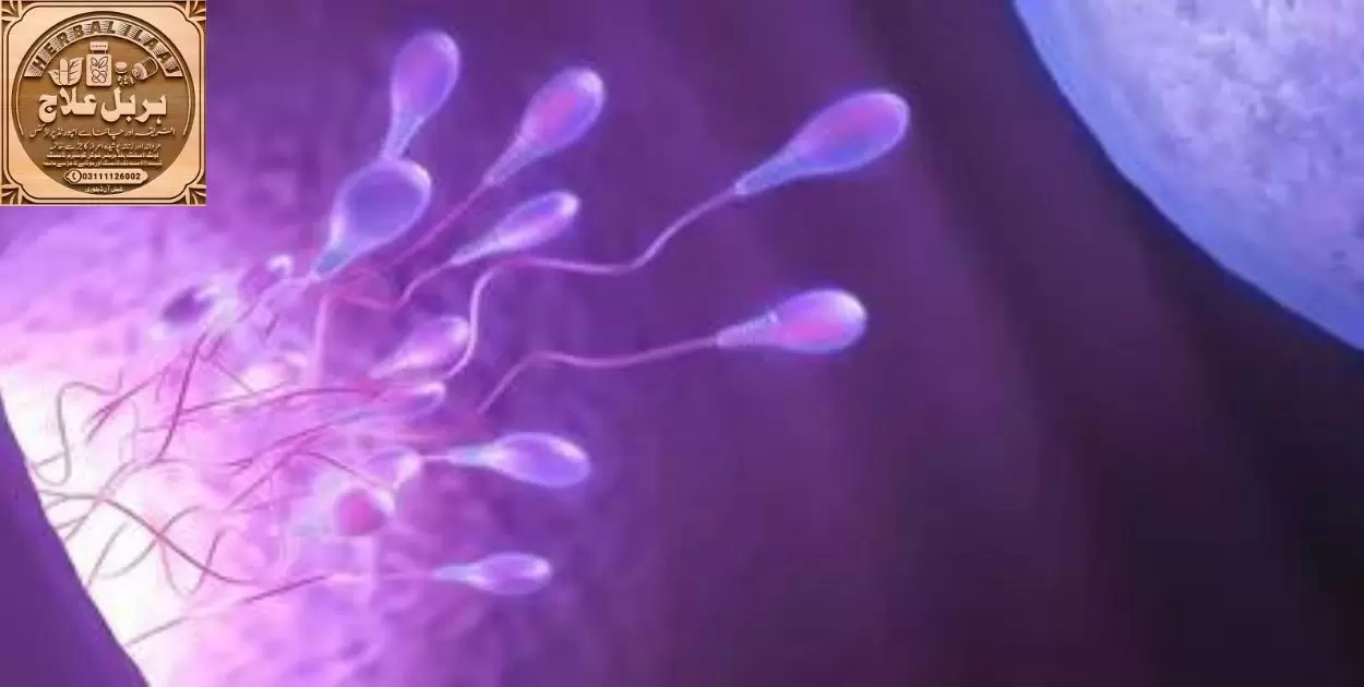 Can Pus Cells In Sperm Affect Fertility?