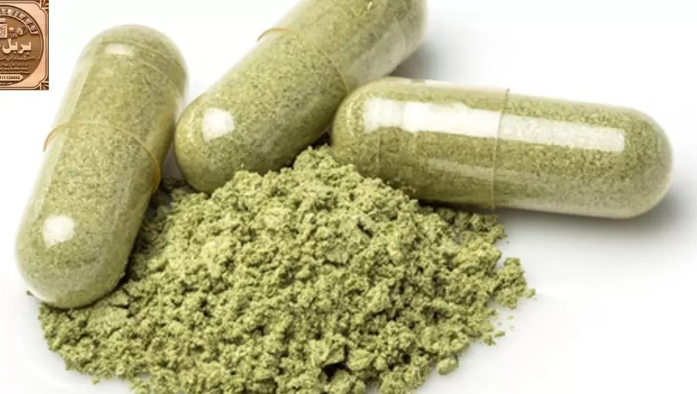 Can Herbal Capsules Alone Control Blood Sugar Levels?