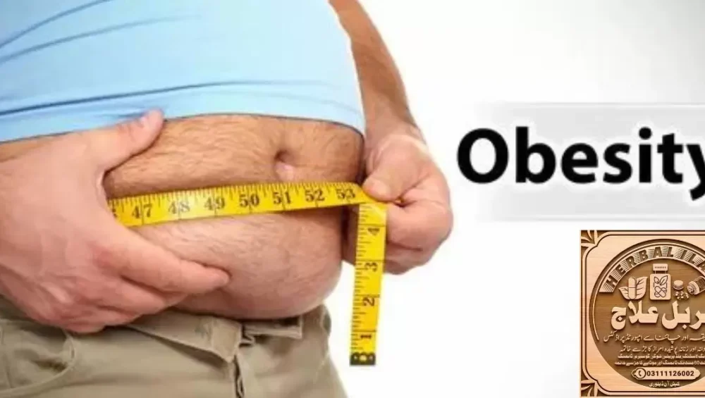 What Is The Best Herb For Obesity?