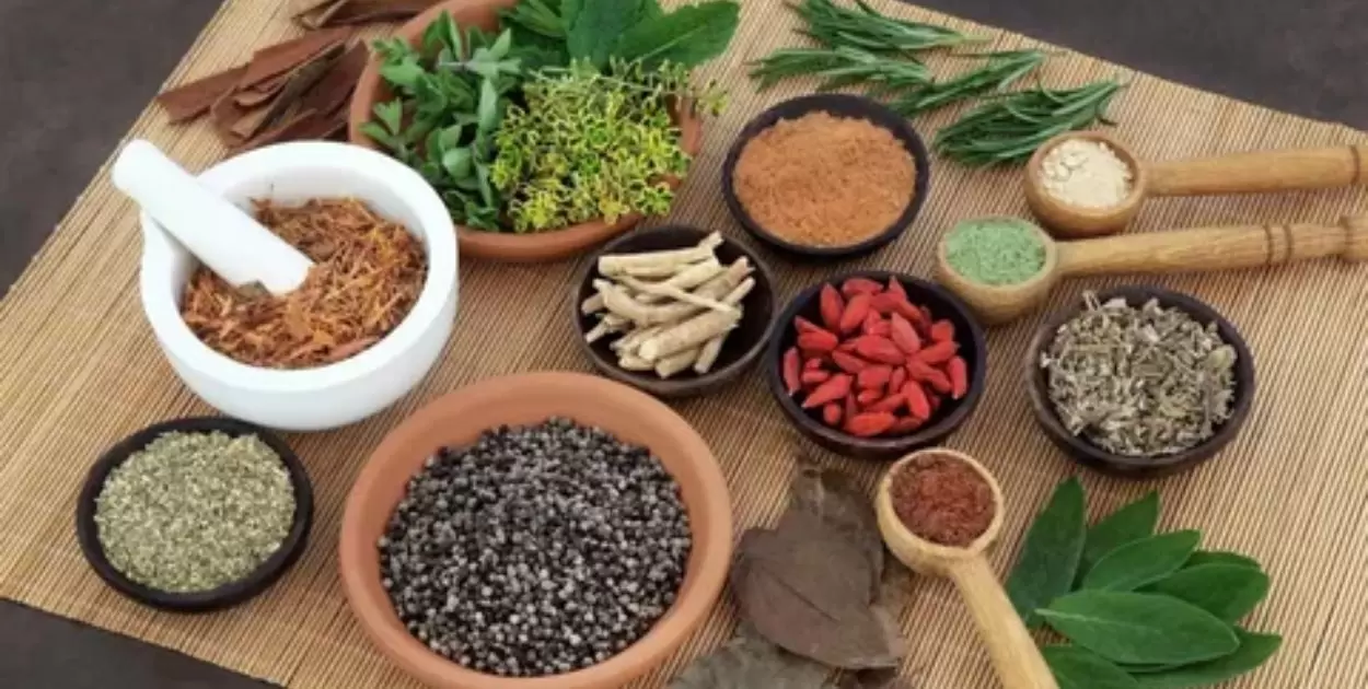 Which Herbs Can Help Burn Calories Naturally?